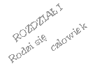 Rozdzia� I